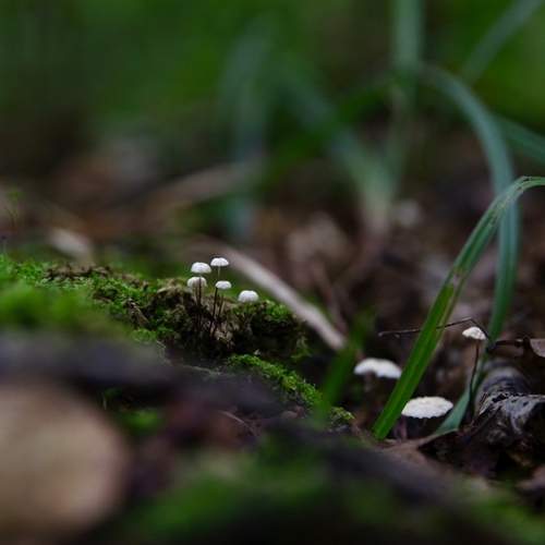 Photo #12542861