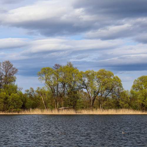 Photo #12542865