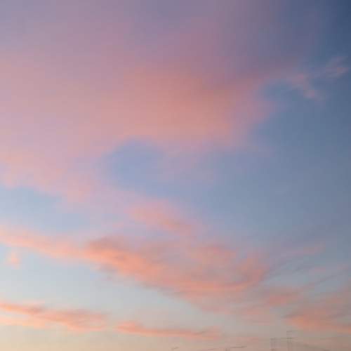 Photo #12542876