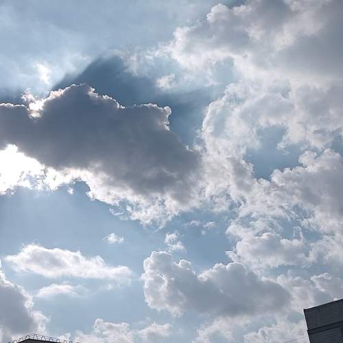Photo #12542879