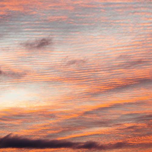Photo #12542910
