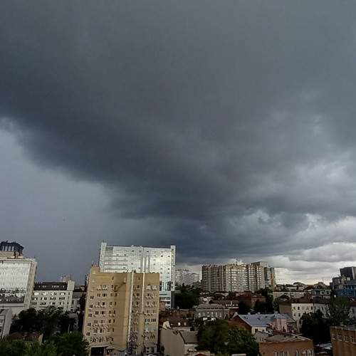 Photo #12542952