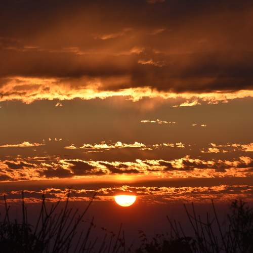 Photo #12542971