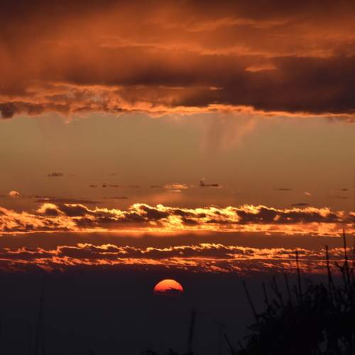 Photo #12542974
