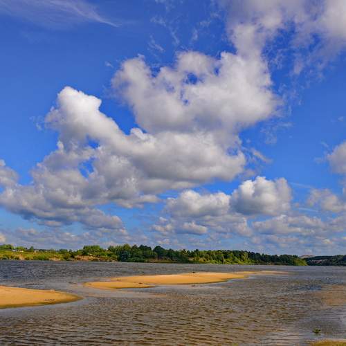 Photo #12542989