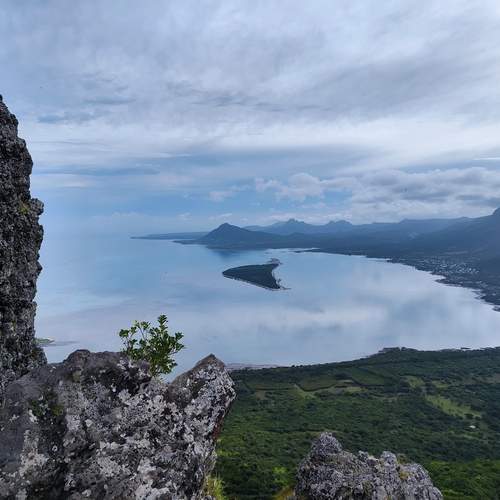 Photo #12543098