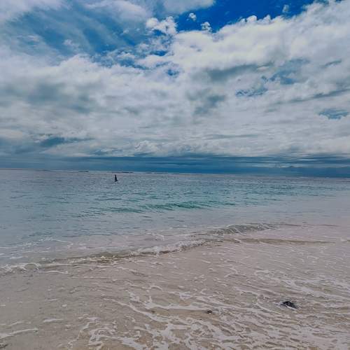 Photo #12543131