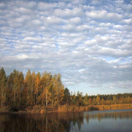 Photo #12543315