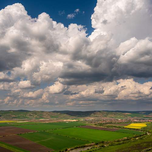 Photo #12543330