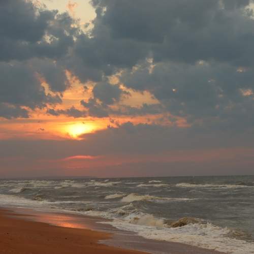 Photo #12543341