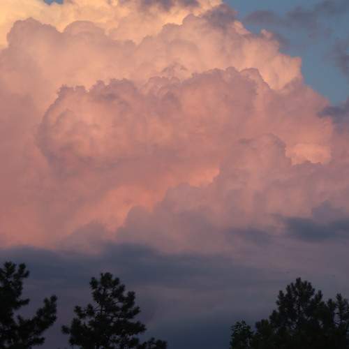 Photo #12543343