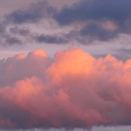 Photo #12543347