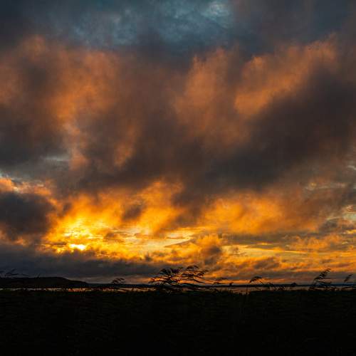 Photo #12543368