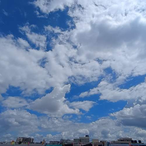 Photo #12543375