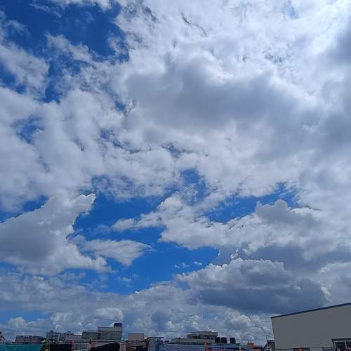 Photo #12543394