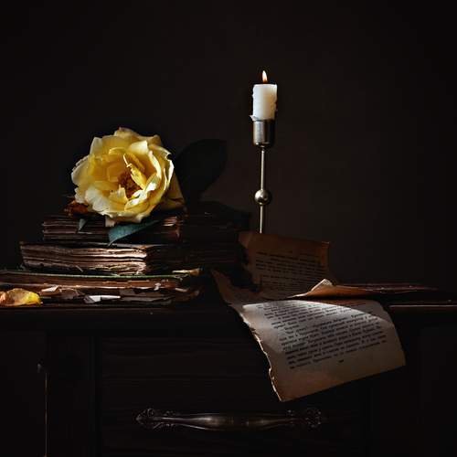 Photo #12543402