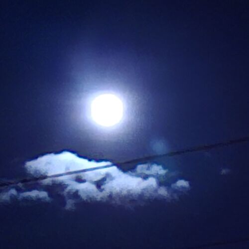 Photo #12543403