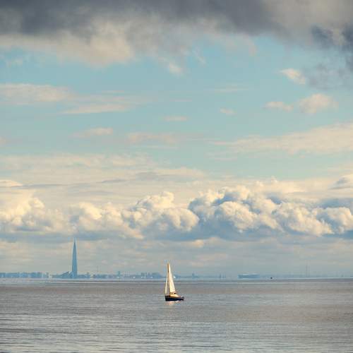 Photo #12543415