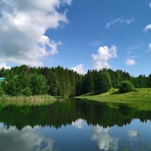 Photo #12543437