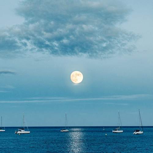 Photo #12543452