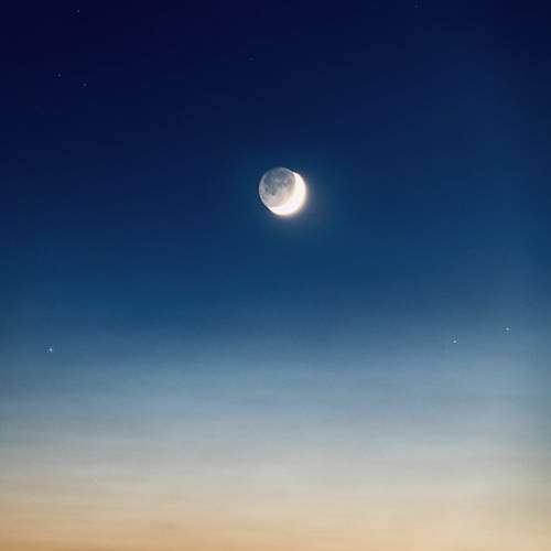 Photo #12543459