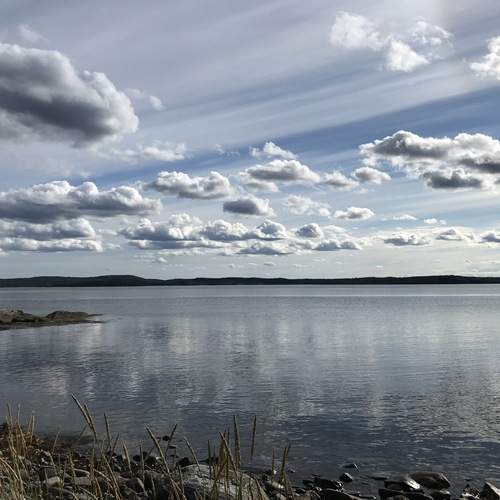 Photo #12543566
