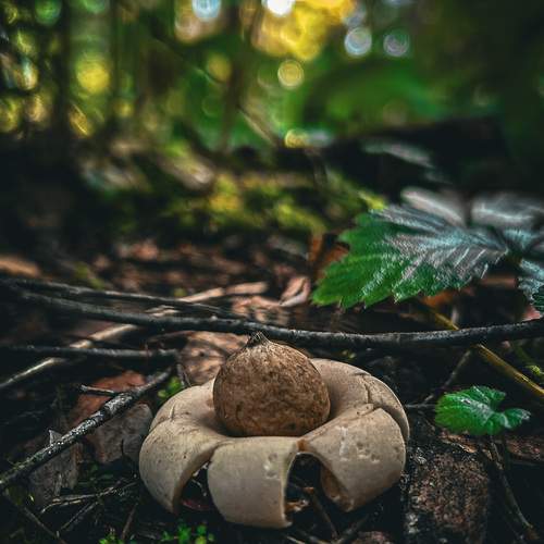 Photo #12543619