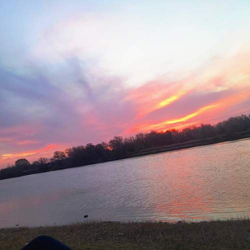 Photo #12543836