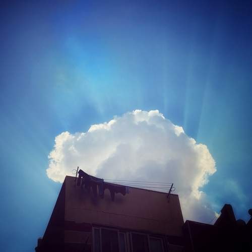 Photo #12543837