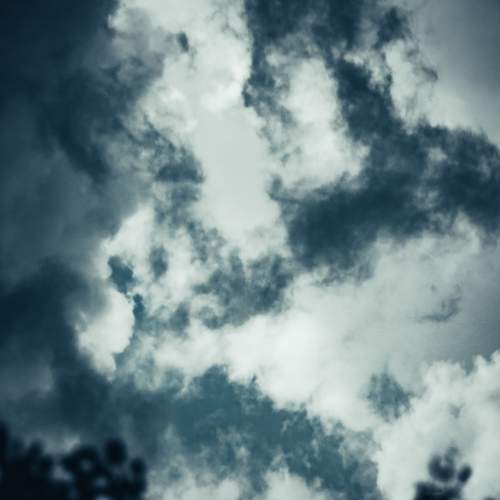 Photo #12543920