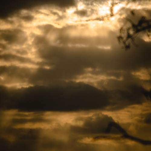 Photo #12543921