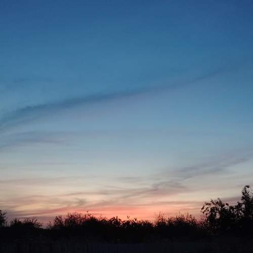 Photo #12543943