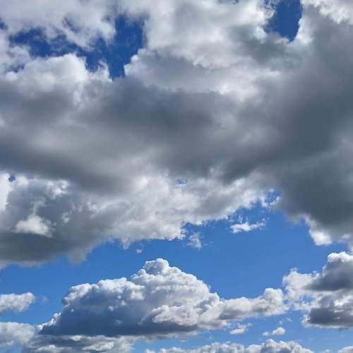 Photo #12543957