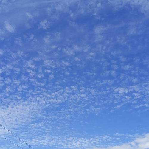 Photo #12543965