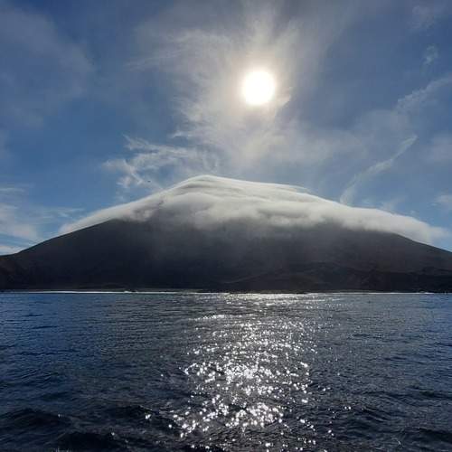 Photo #12544029