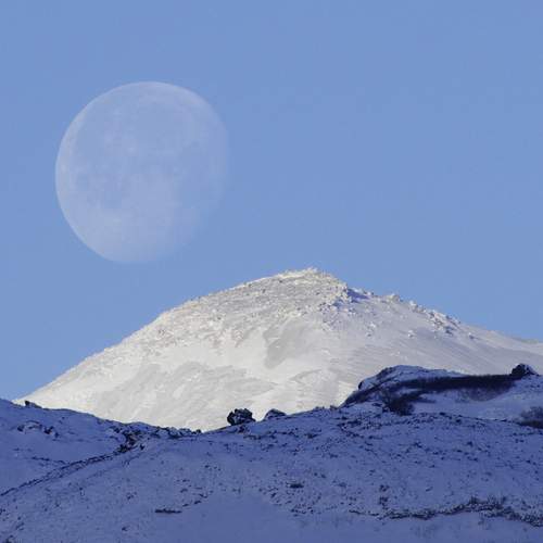 Photo #12544056