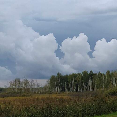 Photo #12544060
