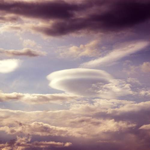 Photo #12544165