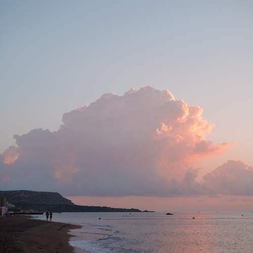 Photo #12544286