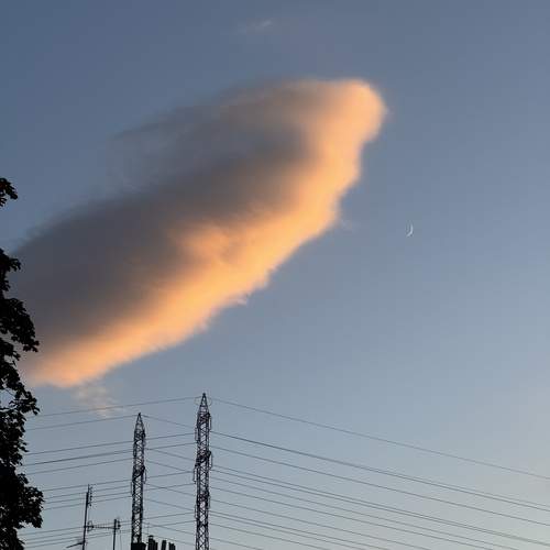 Photo #12544292