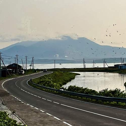 Photo #12544294