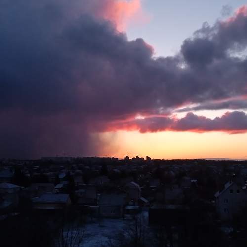 Photo #12544301
