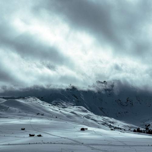 Photo #12544311