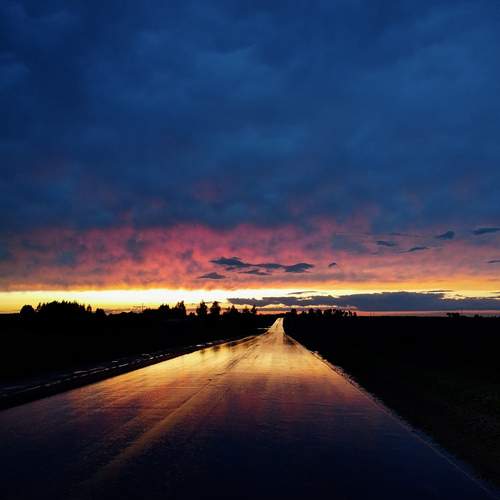Photo #12544345