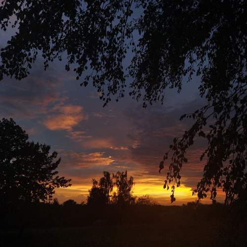 Photo #12544478