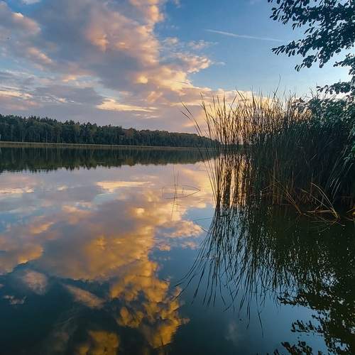 Photo #12544543
