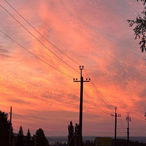 Photo #12544557