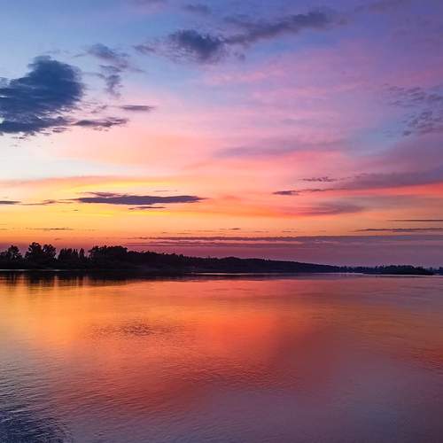 Photo #12544560