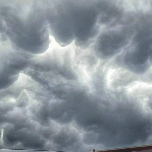 Photo #12544562