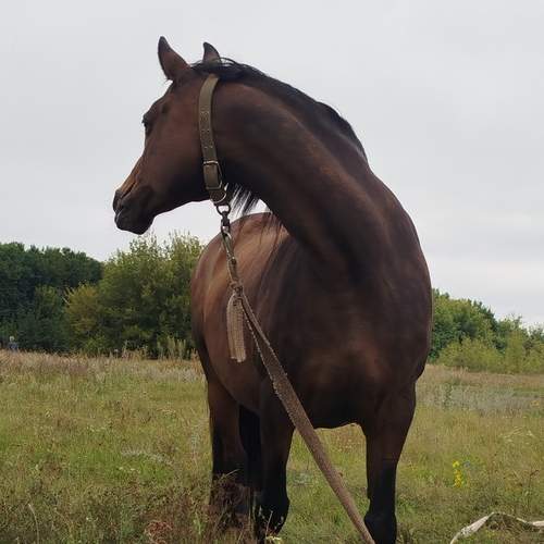 Photo #12544569